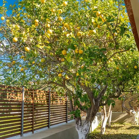 Casa Katrine Hébergement de vacances Lakíthra